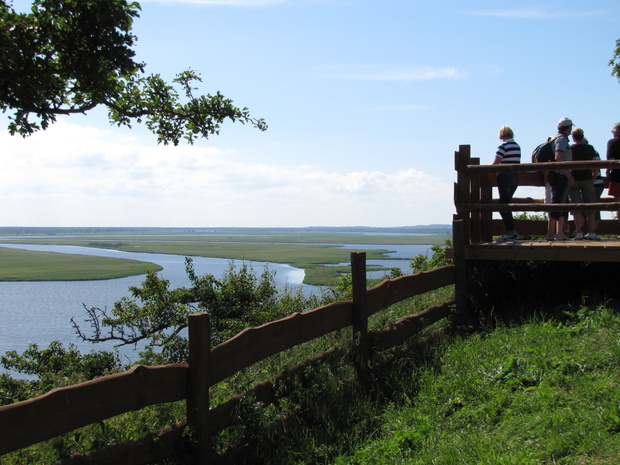 Lubin_Wsteczna_Delta_Świny_fot_ZPawlicki_2