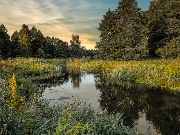 Natural landscapes in central Poland.