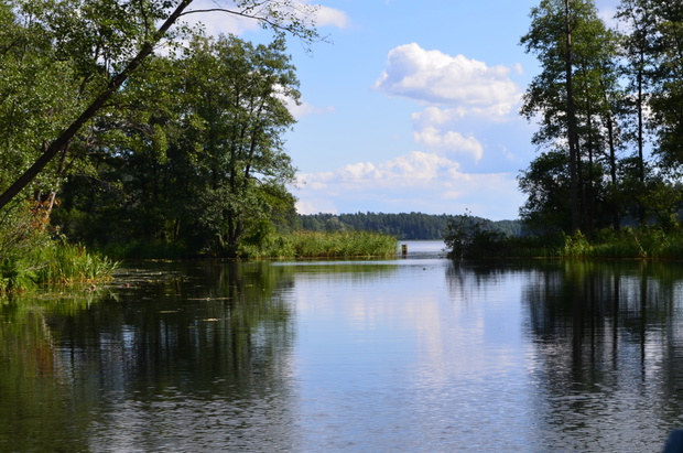 Dolina Rospudy/The Rospuda Valley, Podlasie, Poland
