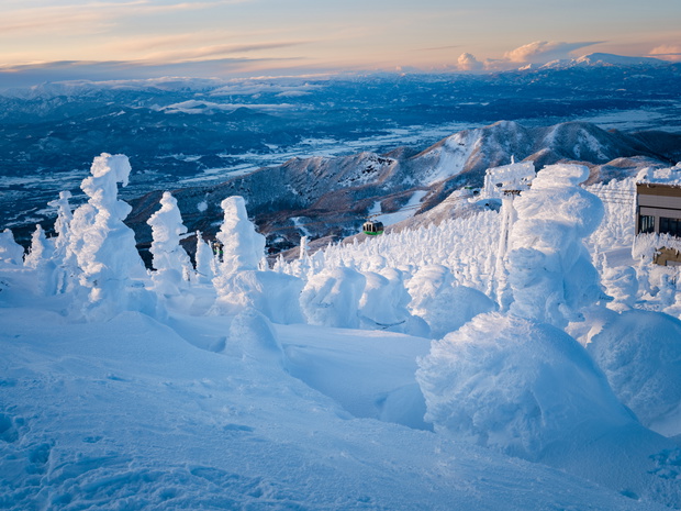 Ośrodek narciarski Zao, Yamagata, Japonia. Fot. Michael George