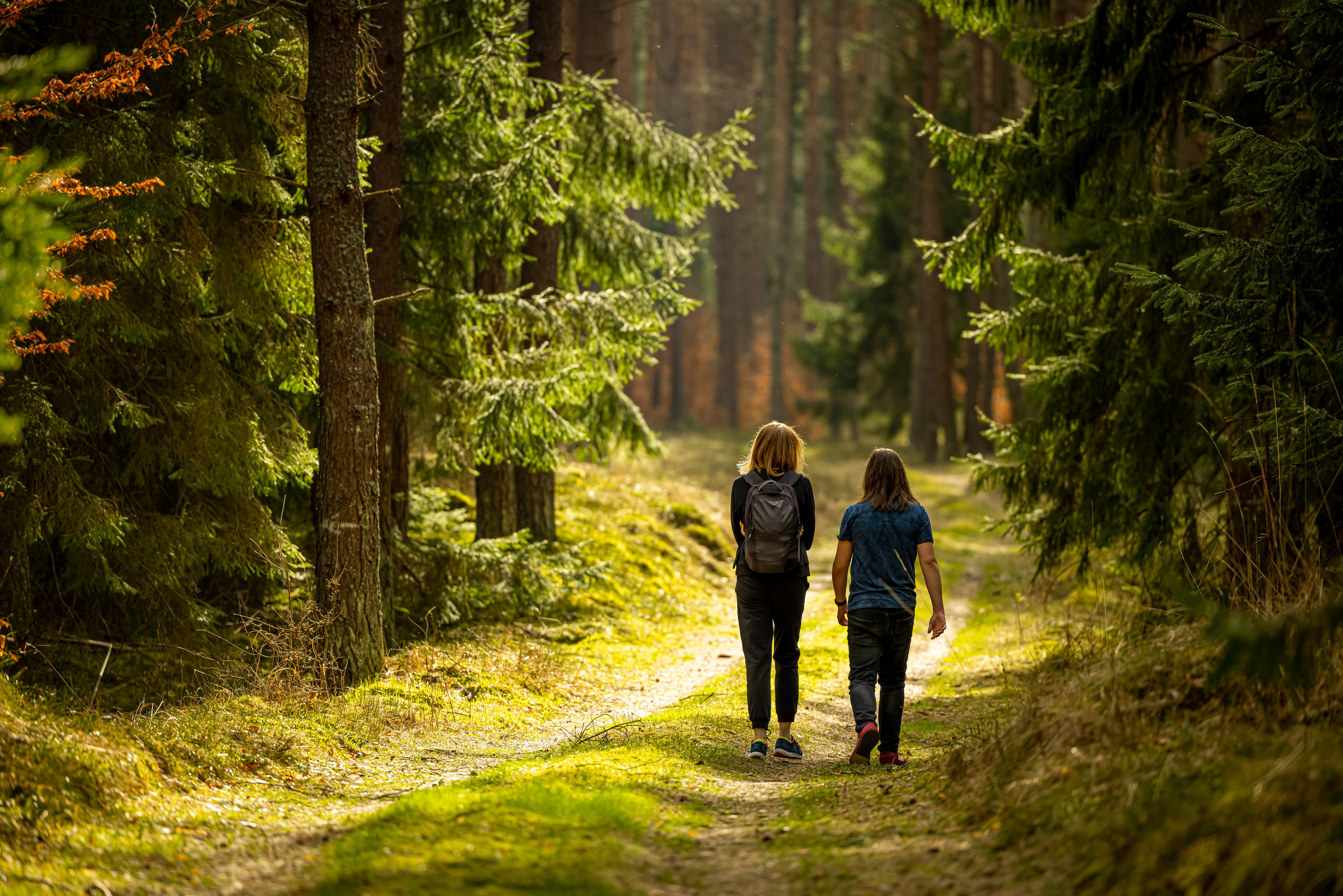 Early spring - a backpacking walk through a beautiful green forest - Poland, Warmia and Masuria