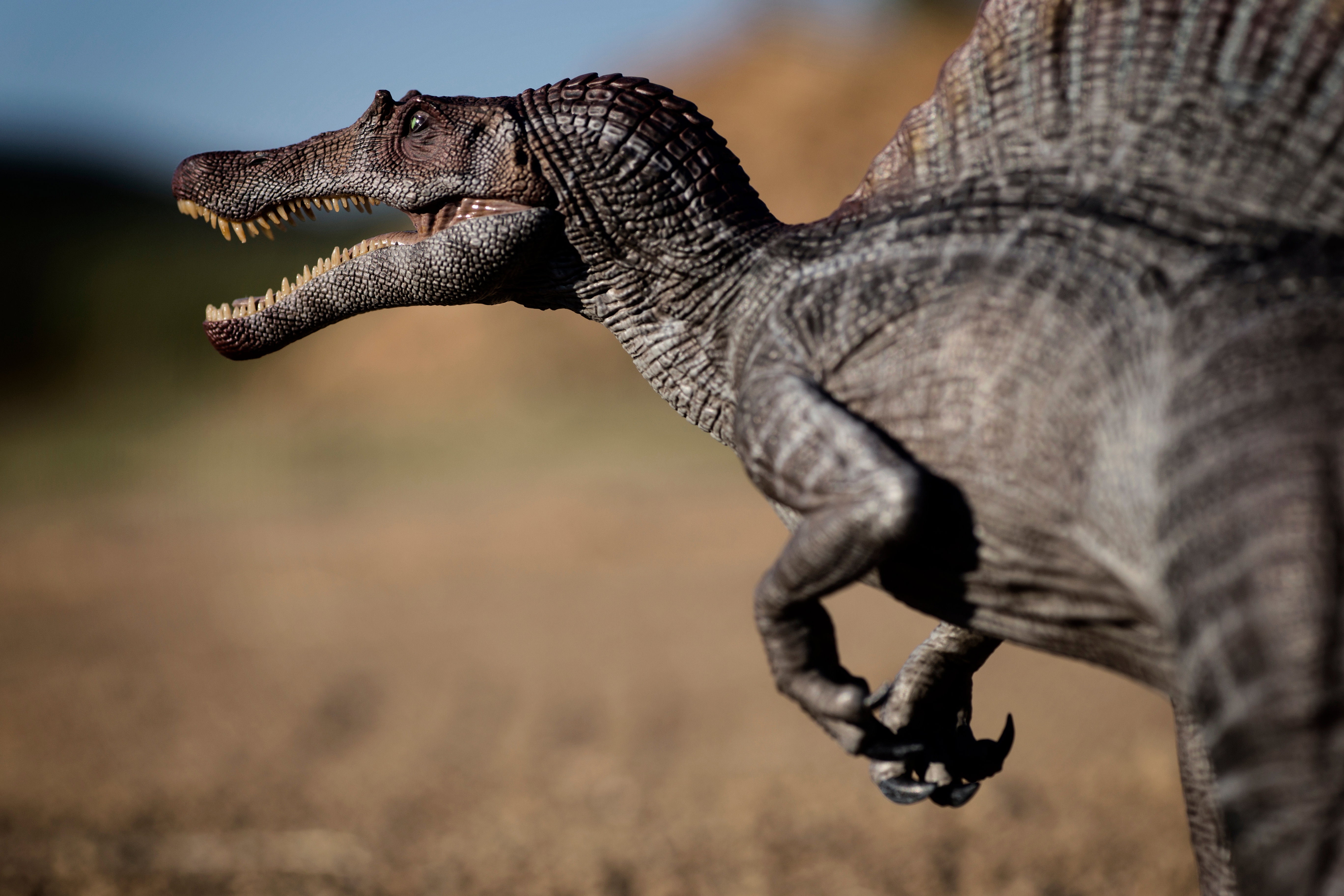Raj dla paleontologów – na terenie Brazylii żyła rekordowa ilość dinozaurów