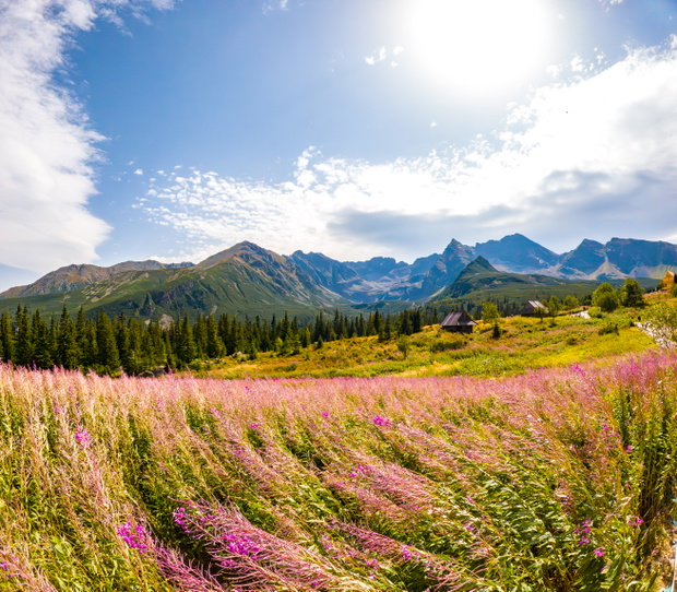 Wonderful Natural Sights on the Zakopane Trails, Zakopane Poland