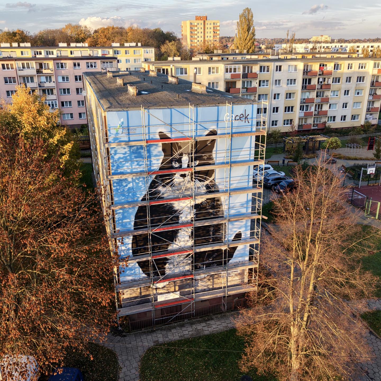 Mural z kotem „Gackiem”