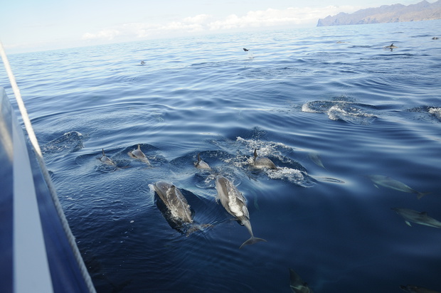 Spirit of the Sea