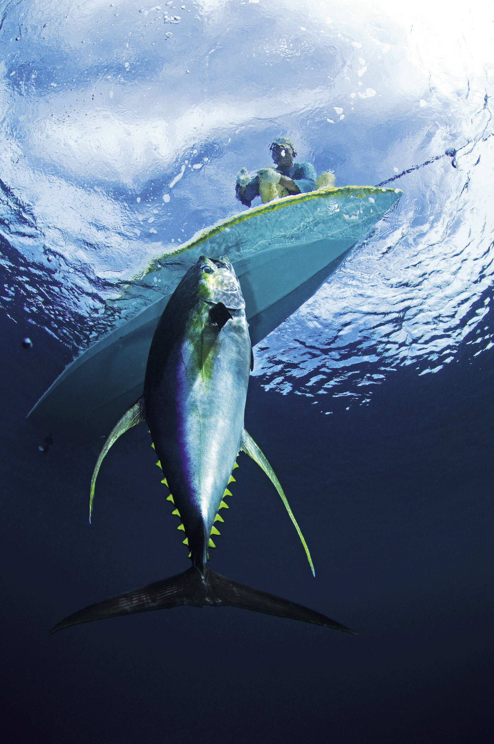 NationalGeographic_131_opt