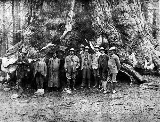 Gdziekolwiek, byle w dzicz. John Muir - ojciec parków narodowych
