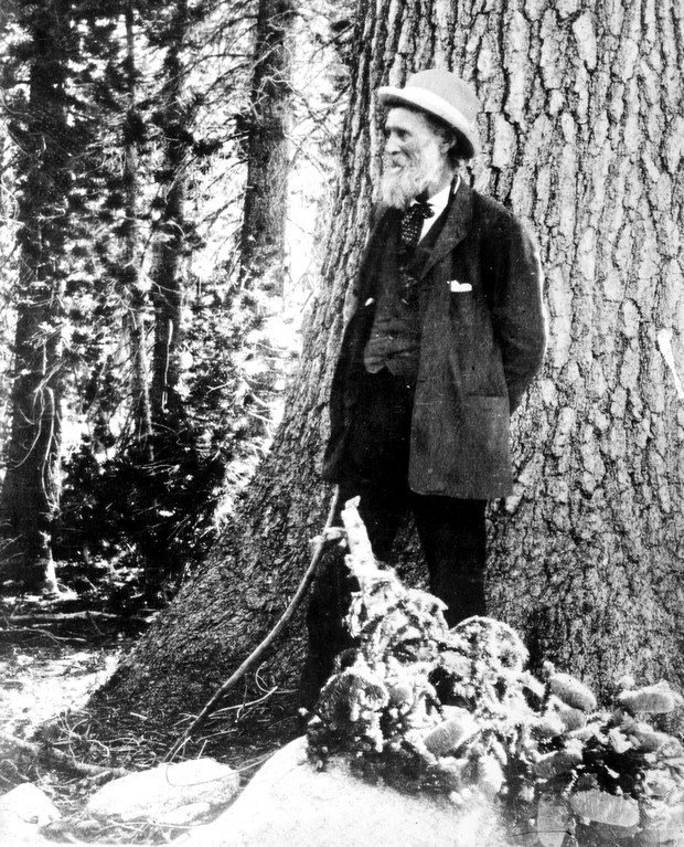 Gdziekolwiek, byle w dzicz. John Muir - ojciec parków narodowych
