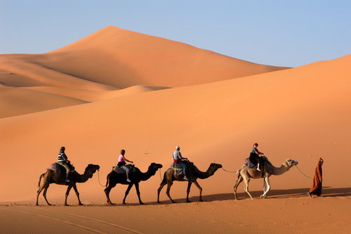 shutterstock_8684749