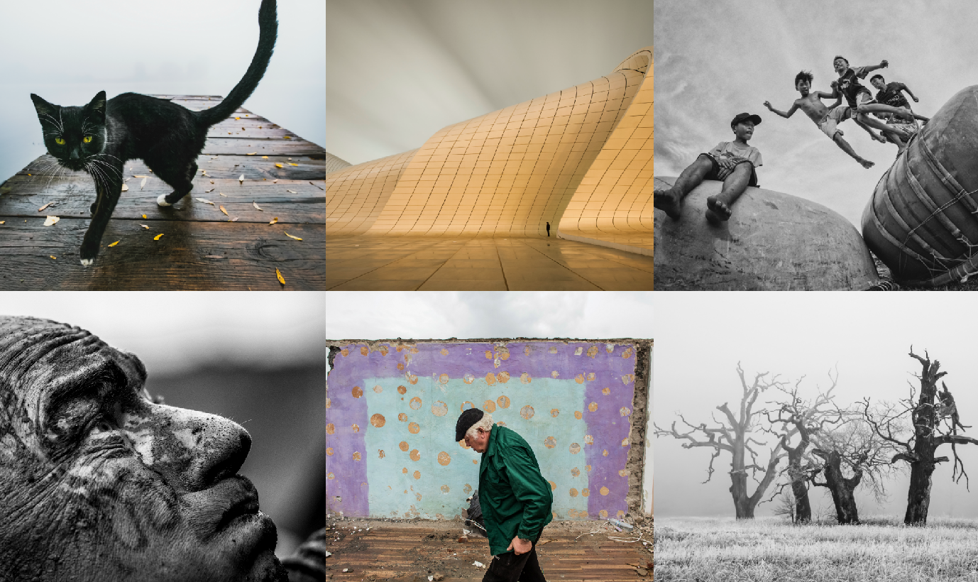 13. Wielki Konkurs Fotograficzny