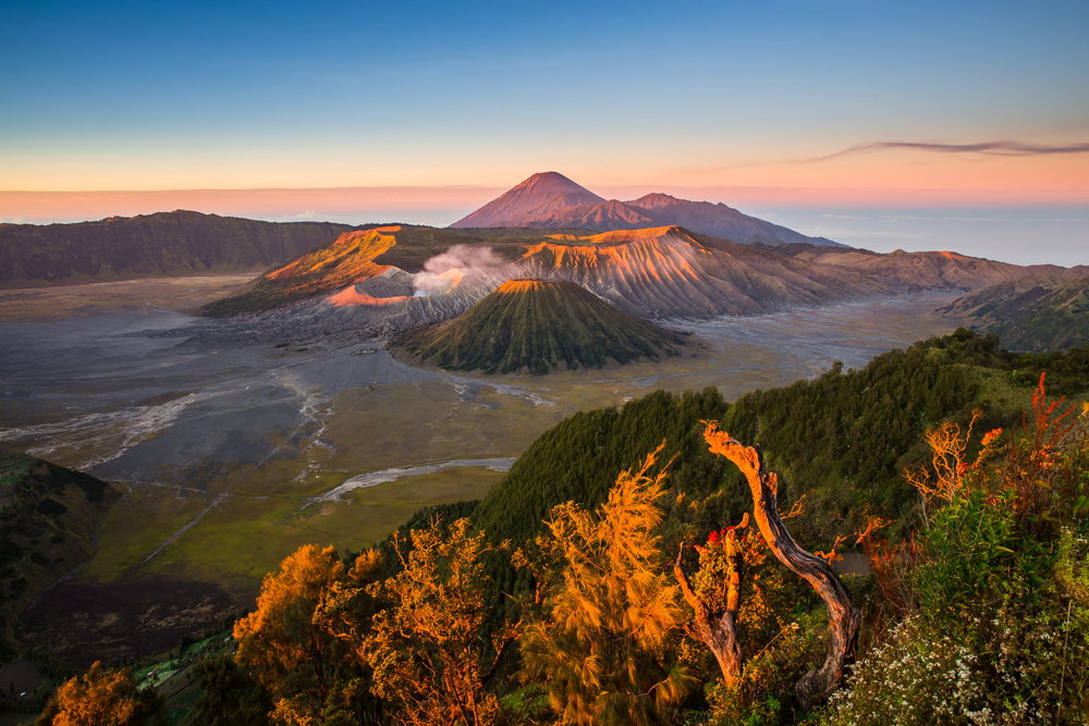 shutterstock_291788714__1_