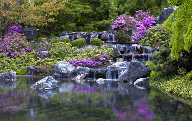 Ogród Botaniczny Montreal