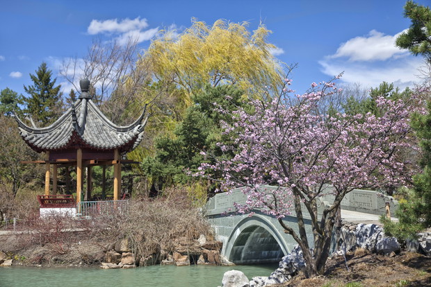 Ogród Botaniczny Montreal