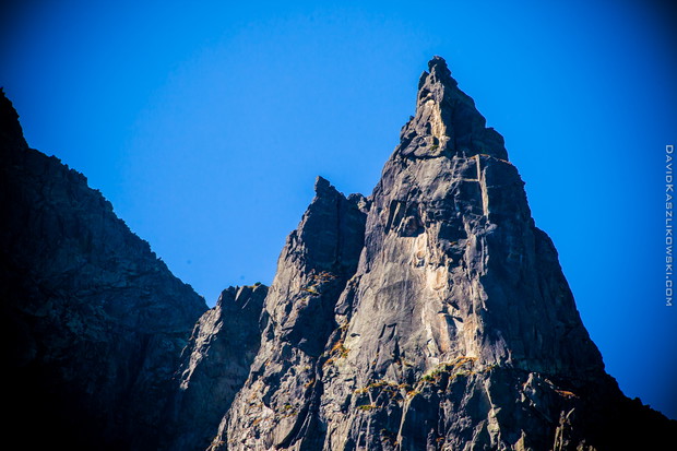 001_mnich