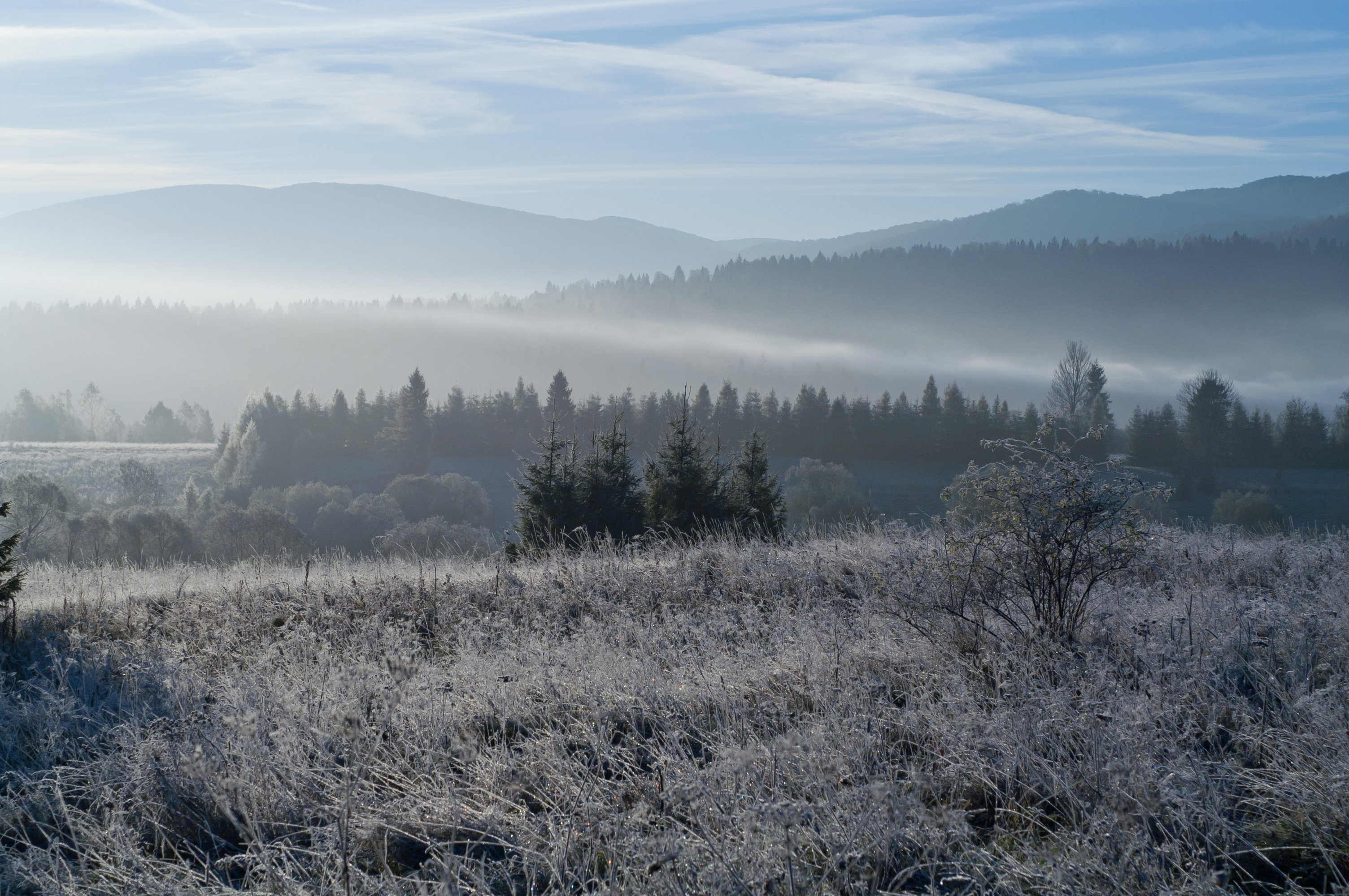 shutterstock_114540211