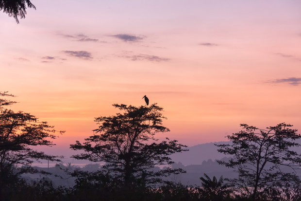 shutterstock_405854746