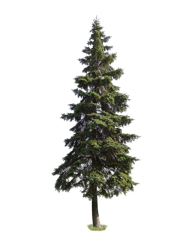 shutterstock_8213119