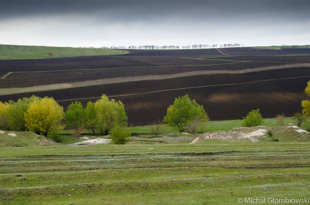 Subariada w Mołdawii