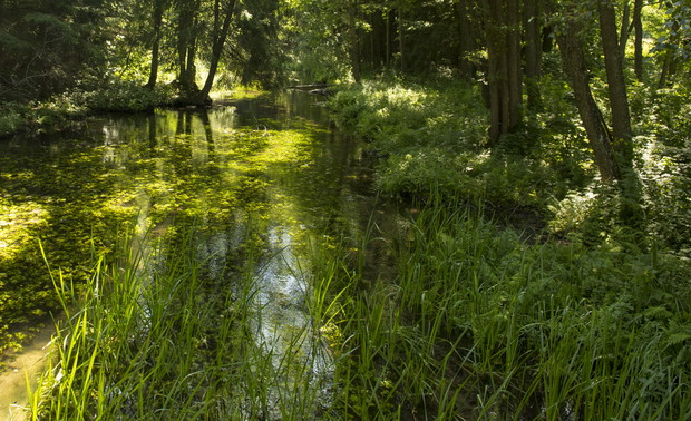 Suwalszczyzna