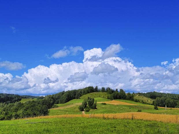 Suwalszczyzna