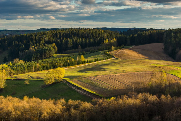 Suwalszczyzna