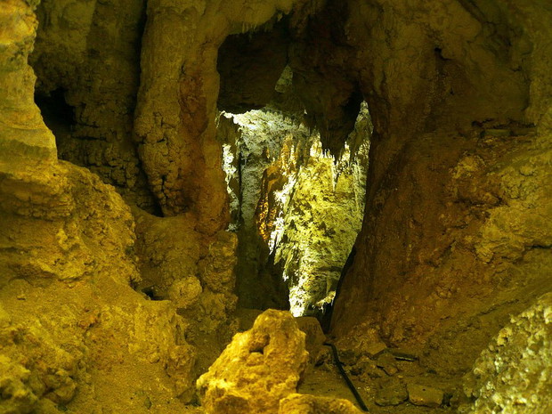 Waitomo Glowworm