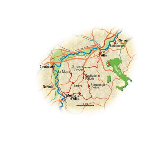 BAROLO