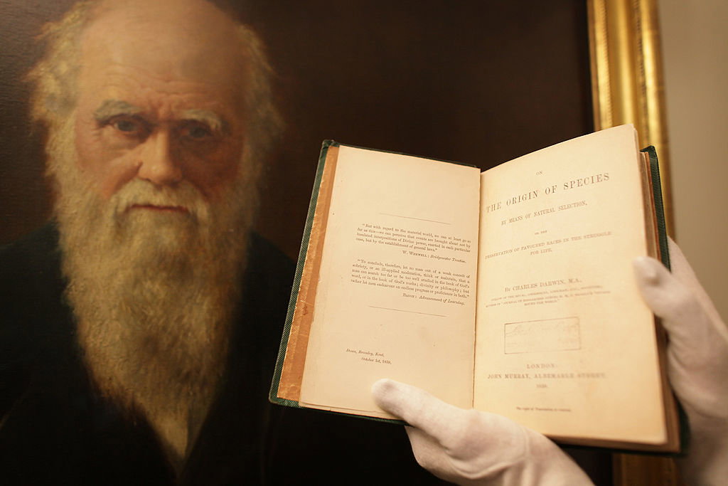 Teoria Darwina nie powstała dzięki żółwiom i ziębom. Kluczowe znaczenie miały skamieniałości i pieczone mięso (fot. Peter Macdiarmid/Getty Images)