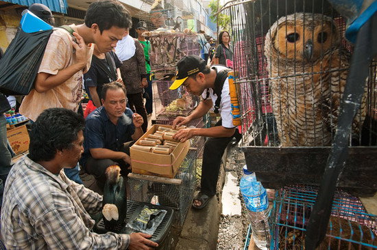 02_market_sell_714_068f79cbc7