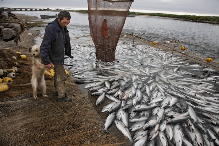 03-fishing-714
