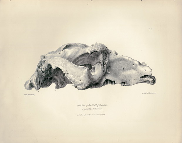 darwin-09-714