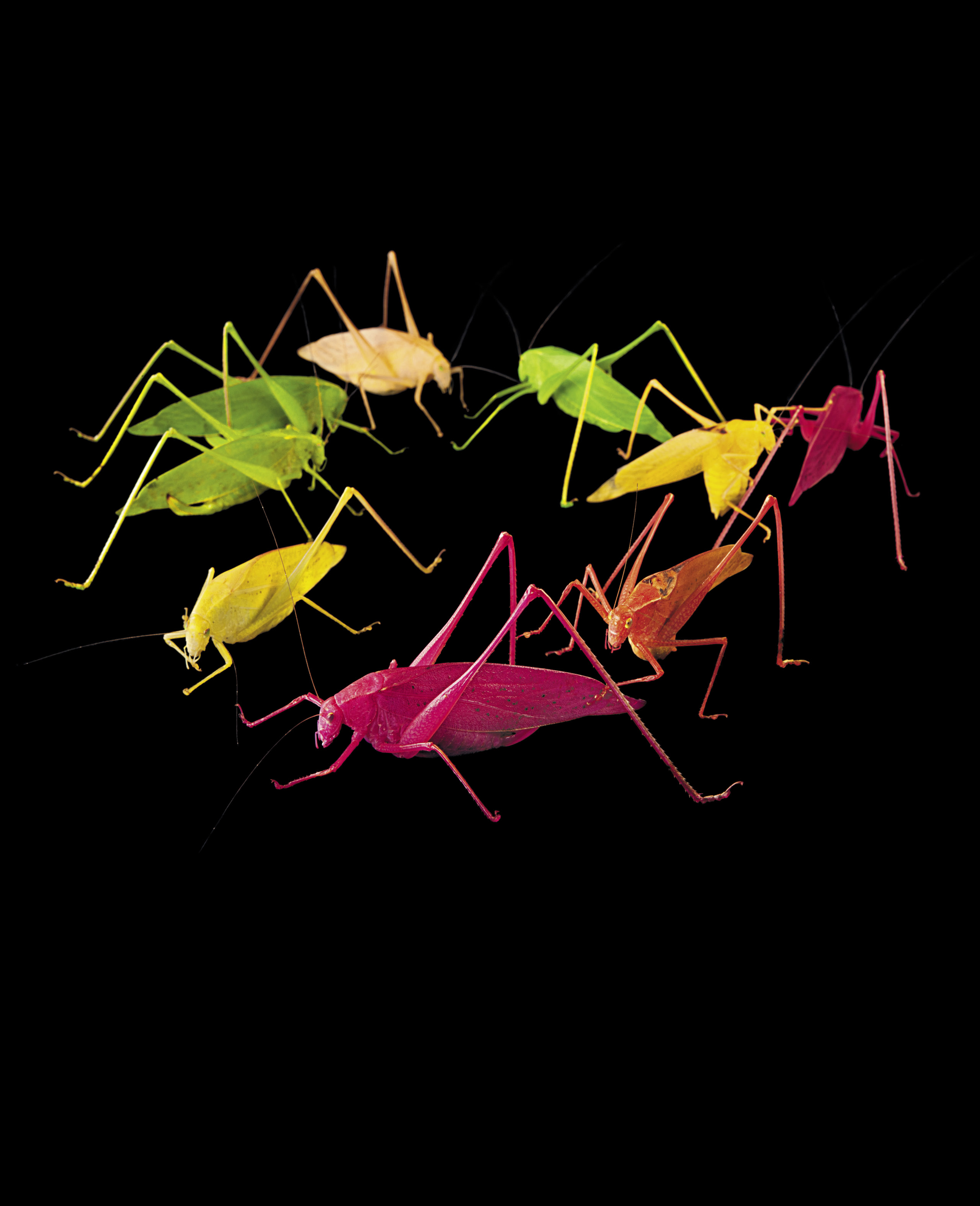 INS012-00009_HR_opt