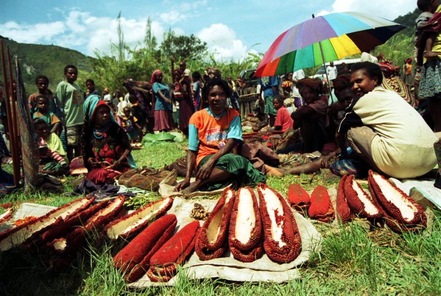 Papua-Nowa Gwinea oczami Grzegorza Kapli