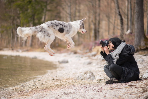 Połączyła miłość do psów i fotografii z podróżami