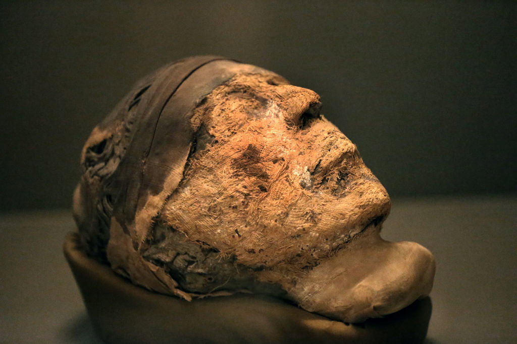 mumia w Muzeum Egipskim