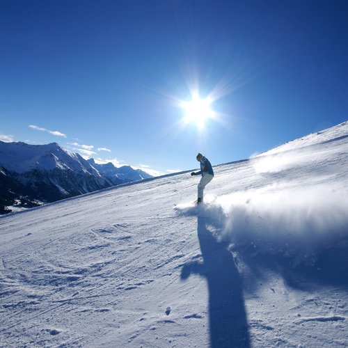 shutterstock_62158687