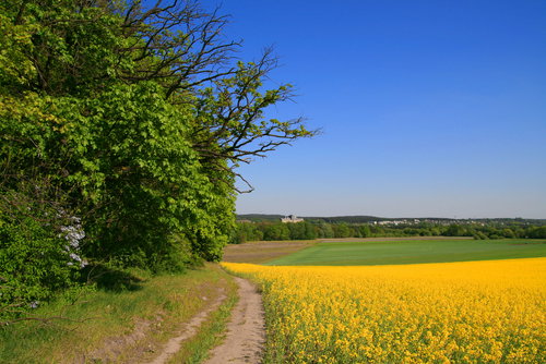 krajobraz_Polska_01