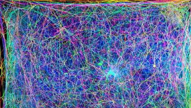 51915566318e1c119aeaed32745ea4200feddabb-c58ee69