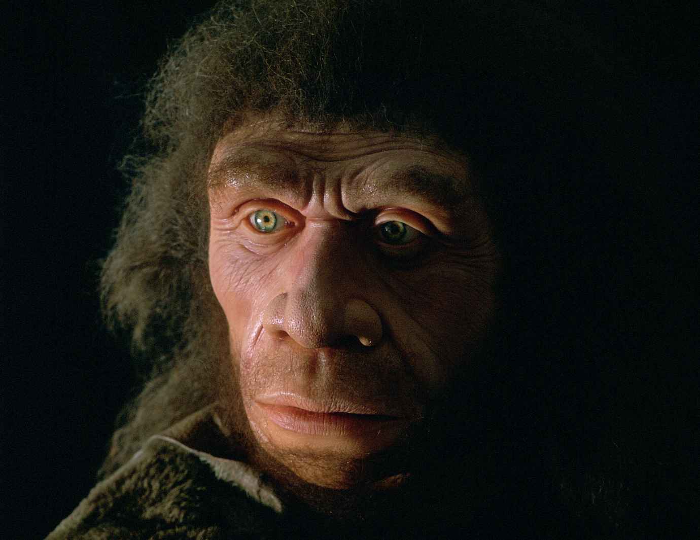 To nie ludzie są winni zagładzie neandertalczyków. Tylko fakt, że płodzili dzieci z krewnymi