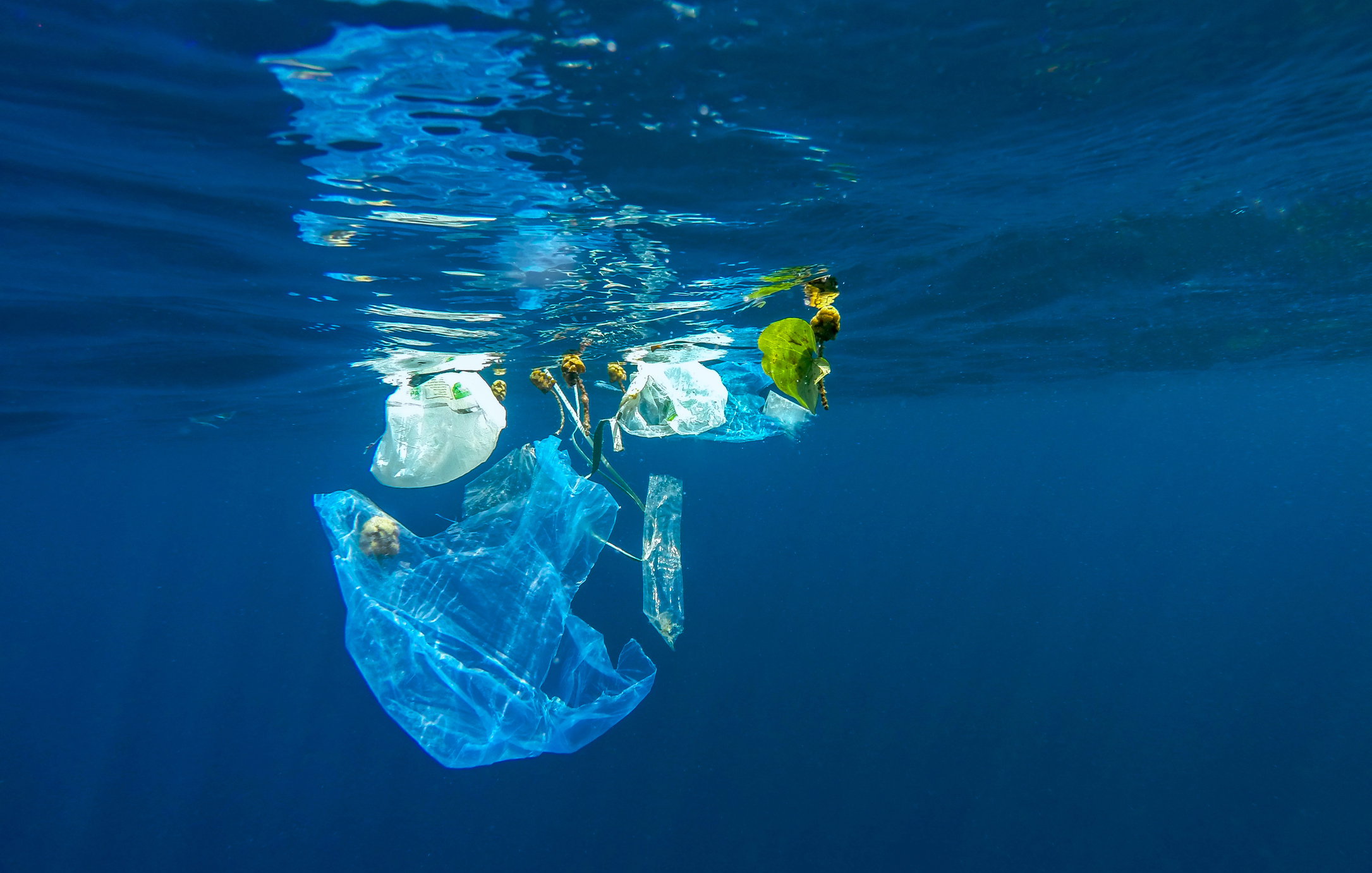 Plastikowa torebka doskonale ochroniła puszkę przed korozją (fot. Getty Images)