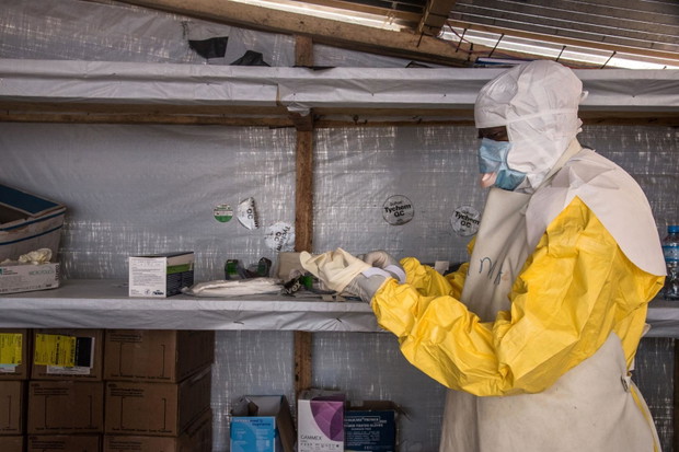 Ebola w Gwinei