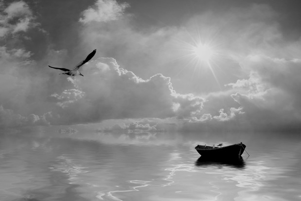 shutterstock_118917460