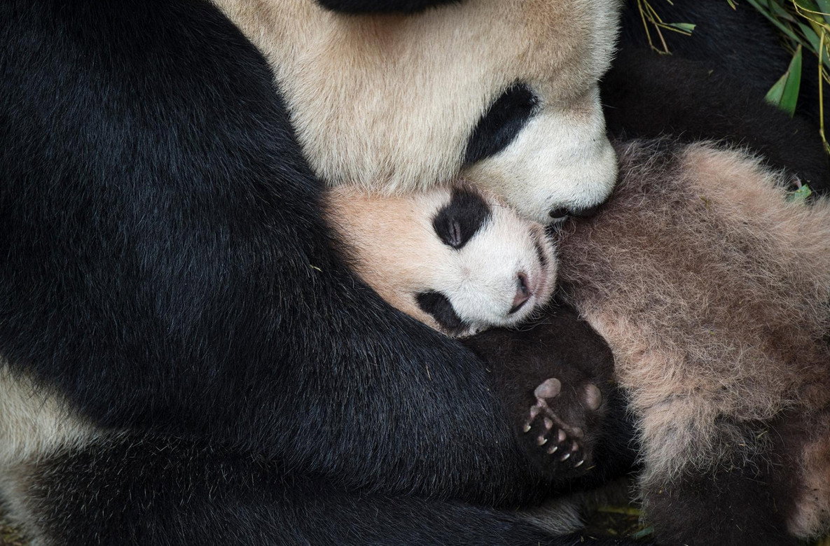 Photograph by AMI VITALE, Nat Geo Image Collection