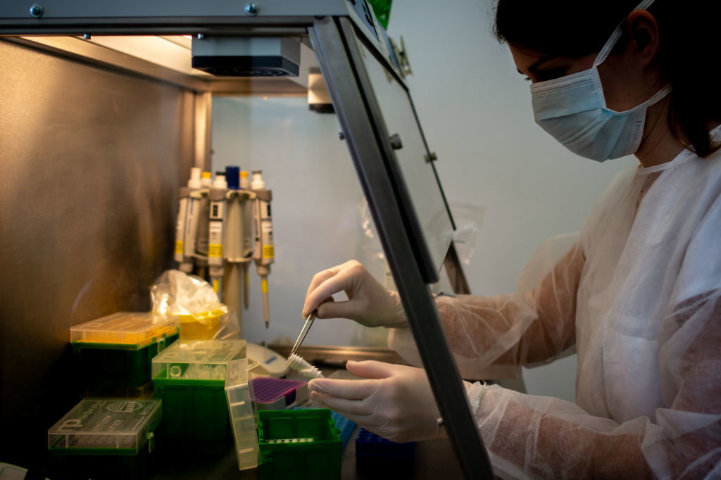 Koronawirus nie powstał w laboratorium. Wyewoluował naturalnie (fot. Getty Images)