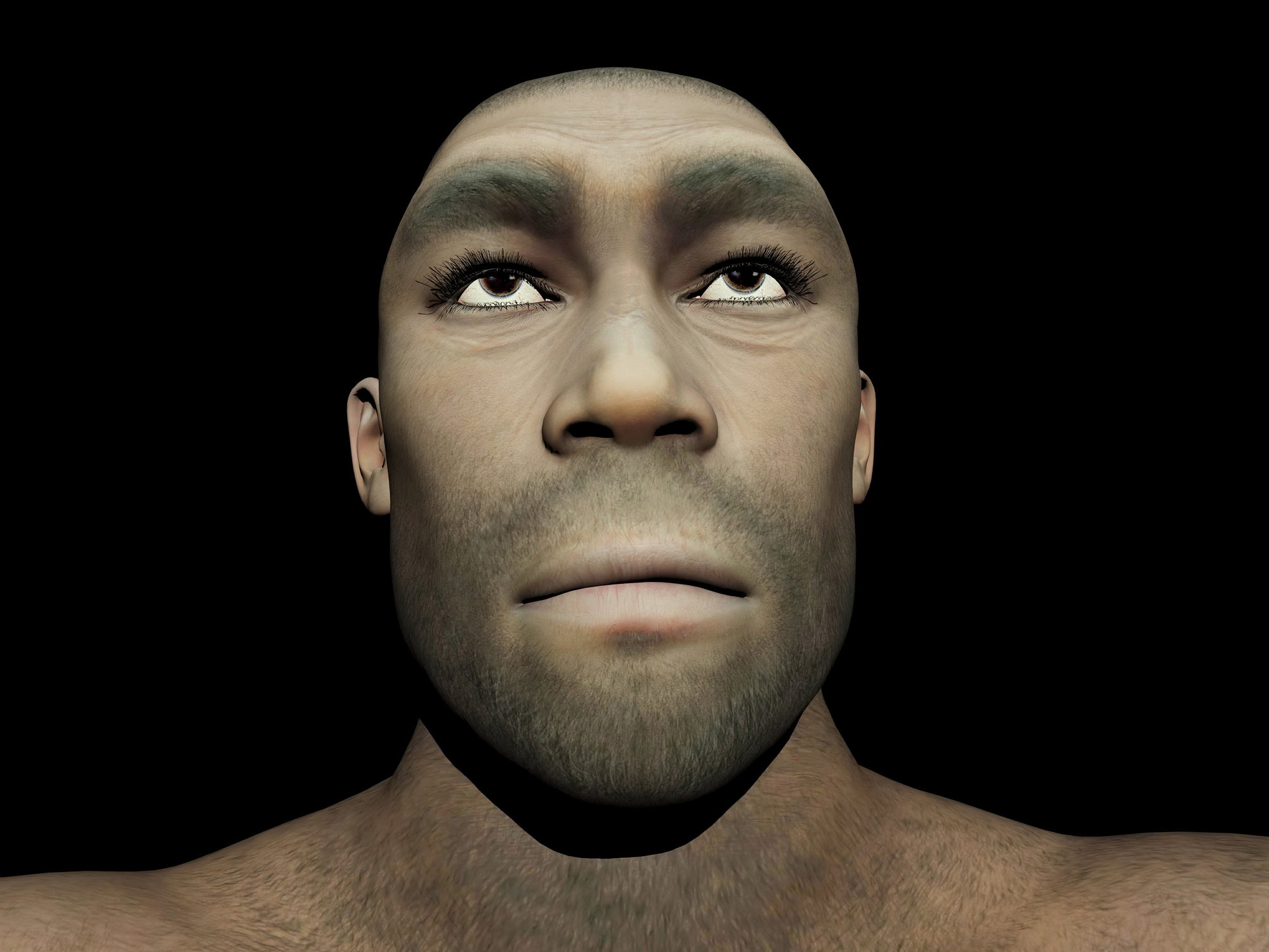 Homo erectus - grafika Getty Images