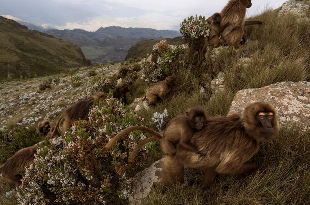 (Photograph by JEFFREY KERBY, Nat Geo Image Collection)