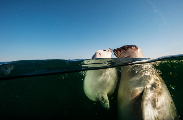 Photograph by JENNIFER HAYES, Nat Geo Image Collection