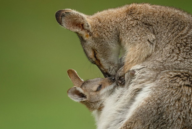 Photograph by STEFANO UNTERTHINER, Nat Geo Image Collection