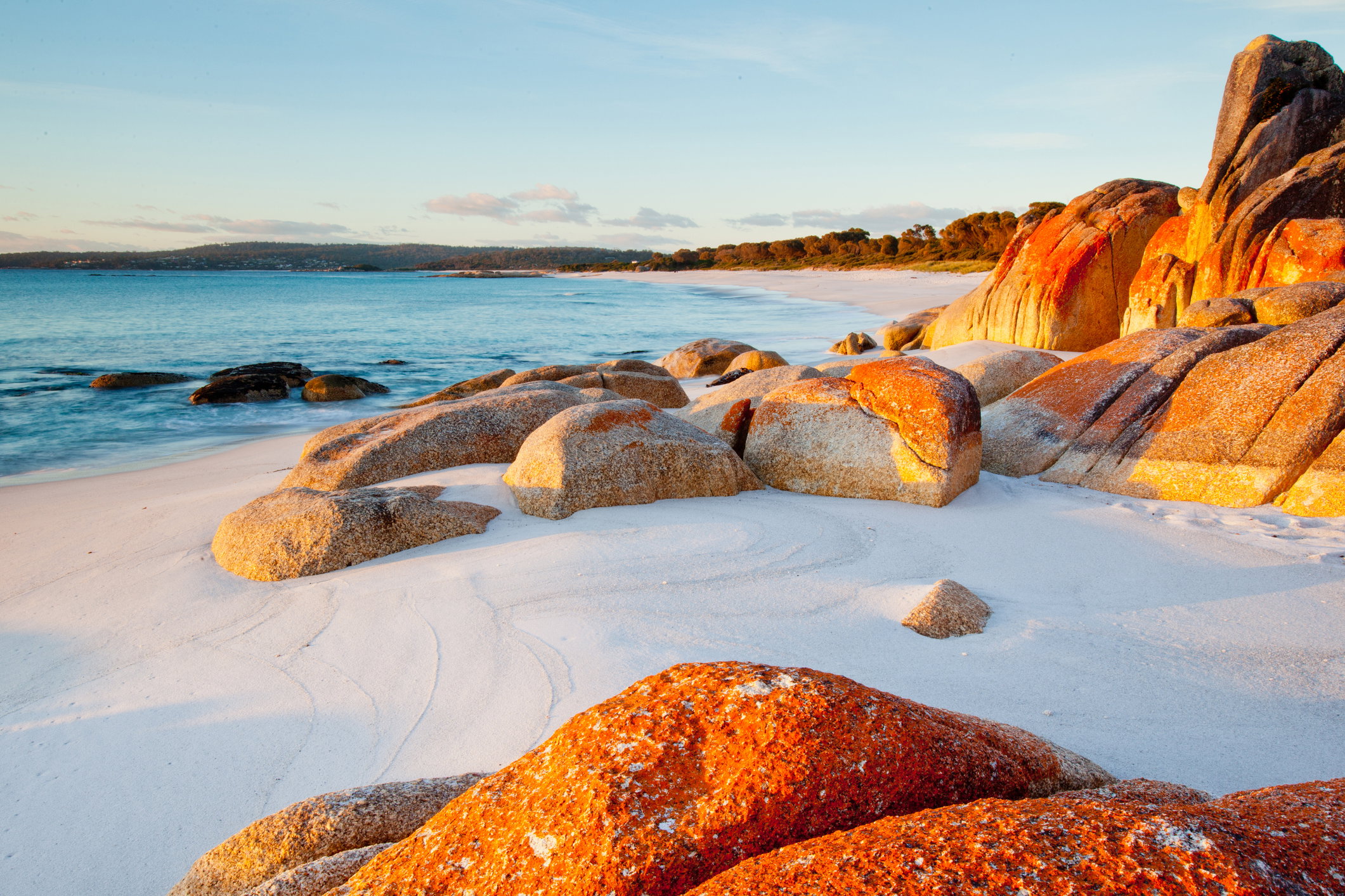 Tasmania