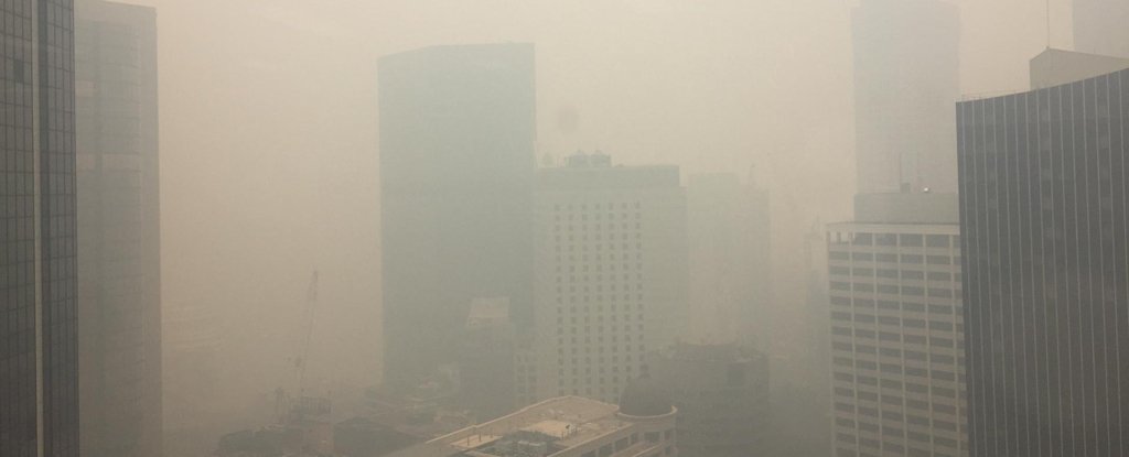 Jakość powietrza w Sydney jeszcze nigdy nie była tak zła (fot. Twitter/Climate and Health Alliance)